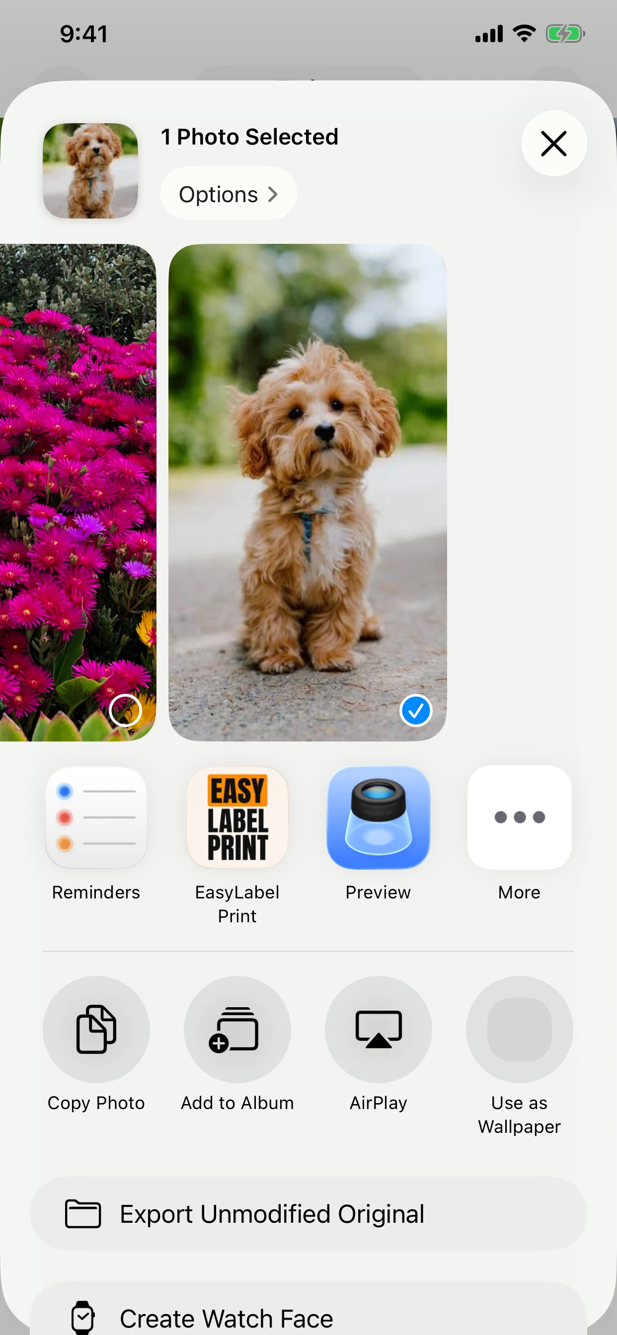 Share a PDF or image in EasyLabel Print on iPhone